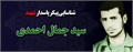 شناسایی پیکر شهید سید جمال احمدی از طریق پلاک هویت