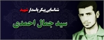 شناسایی پیکر شهید سید جمال احمدی از طریق پلاک هویت