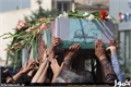 48 شهید گمنام در استان بوشهر آرمیده‌اند
