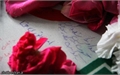 در یادواره سرداران فاطمی؛گلزار شهدای گمنام گلباران شد