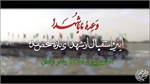 سردار باقرزاده/آیین استقبال از 66 شهید دوران دفاع مقدس در بندر آبادان