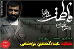 پیکر «عبدالحسین برونسی» در بهشت رضا به خاک سپرده می‌شود