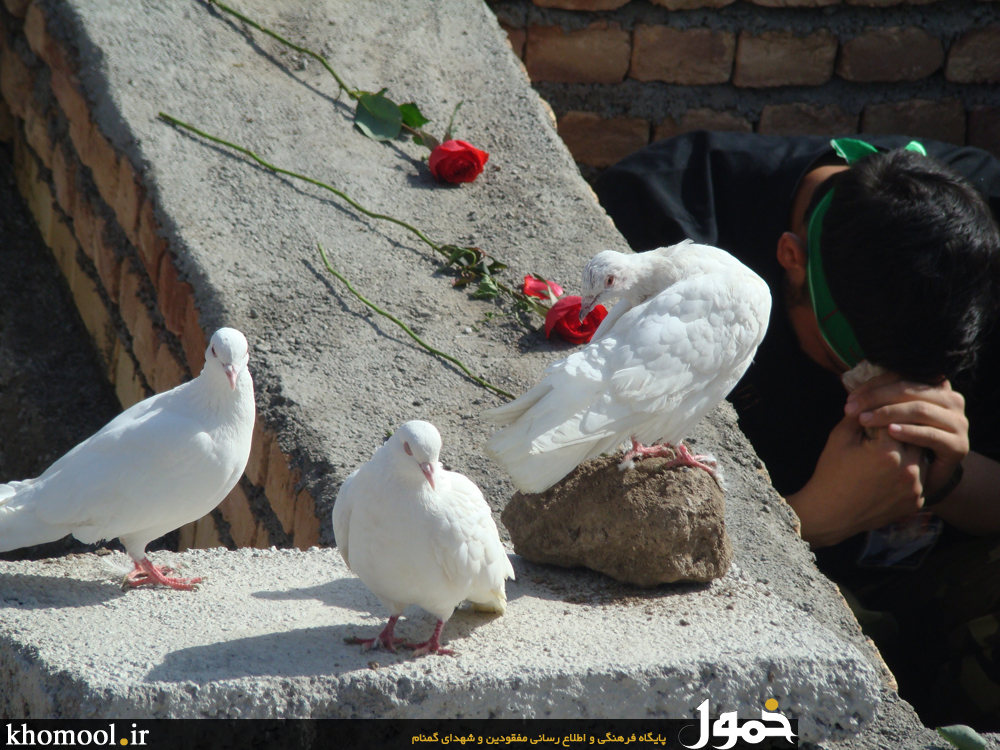 تشییع و خاکسپاری شهدای گمنام دانشگاه آزاد اسلامی اردبیل