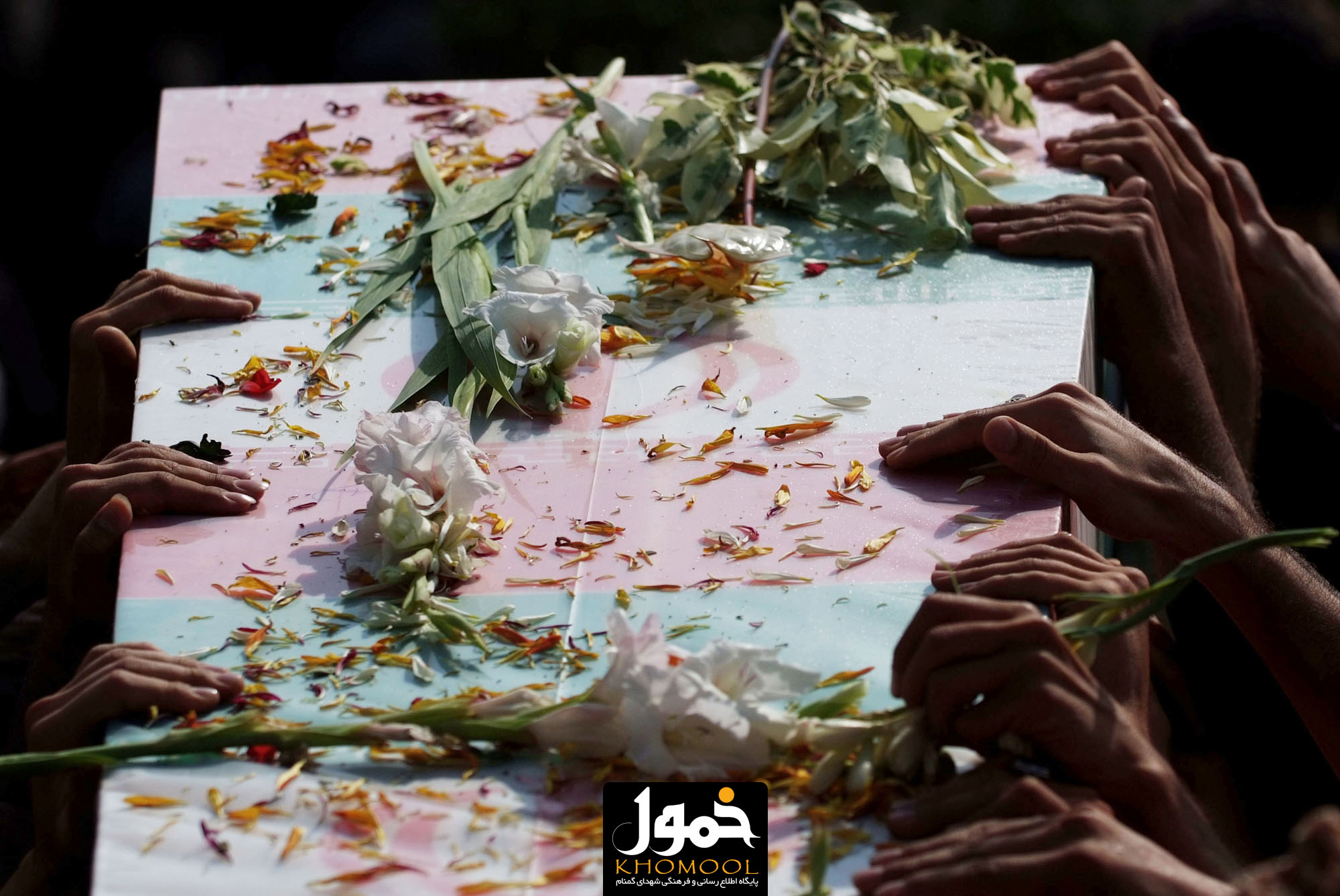 به یاد آن دو پرستوی گمنام دانشکده صدا و سیما