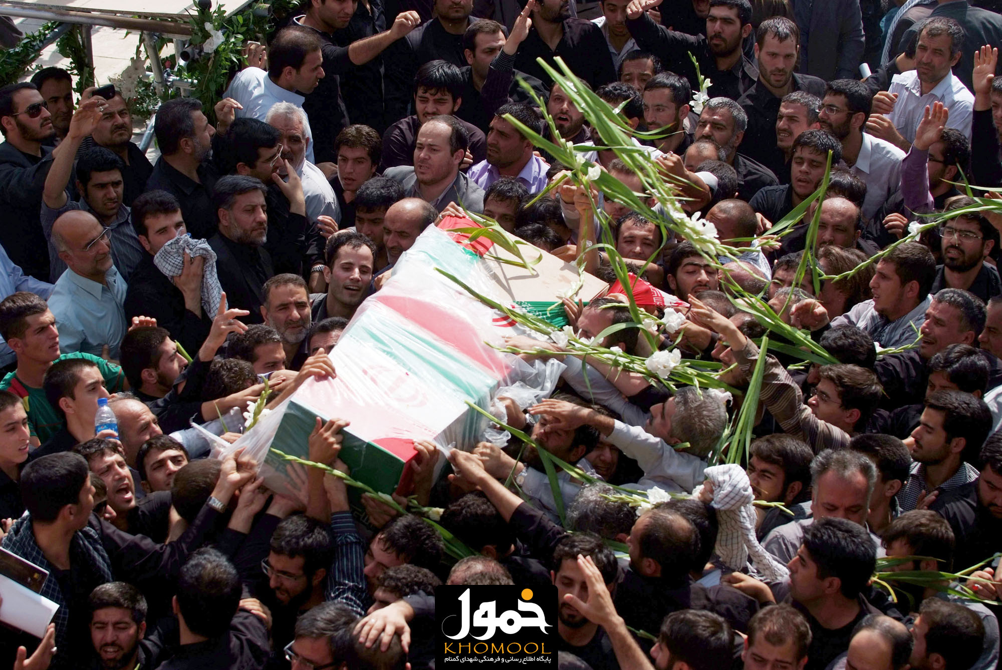 به یاد آن دو پرستوی گمنام دانشکده صدا و سیما