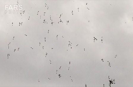 مراسم تشیییع پیکر دو شهید گمنام در شهر قدس